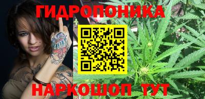 ешки Шелехов